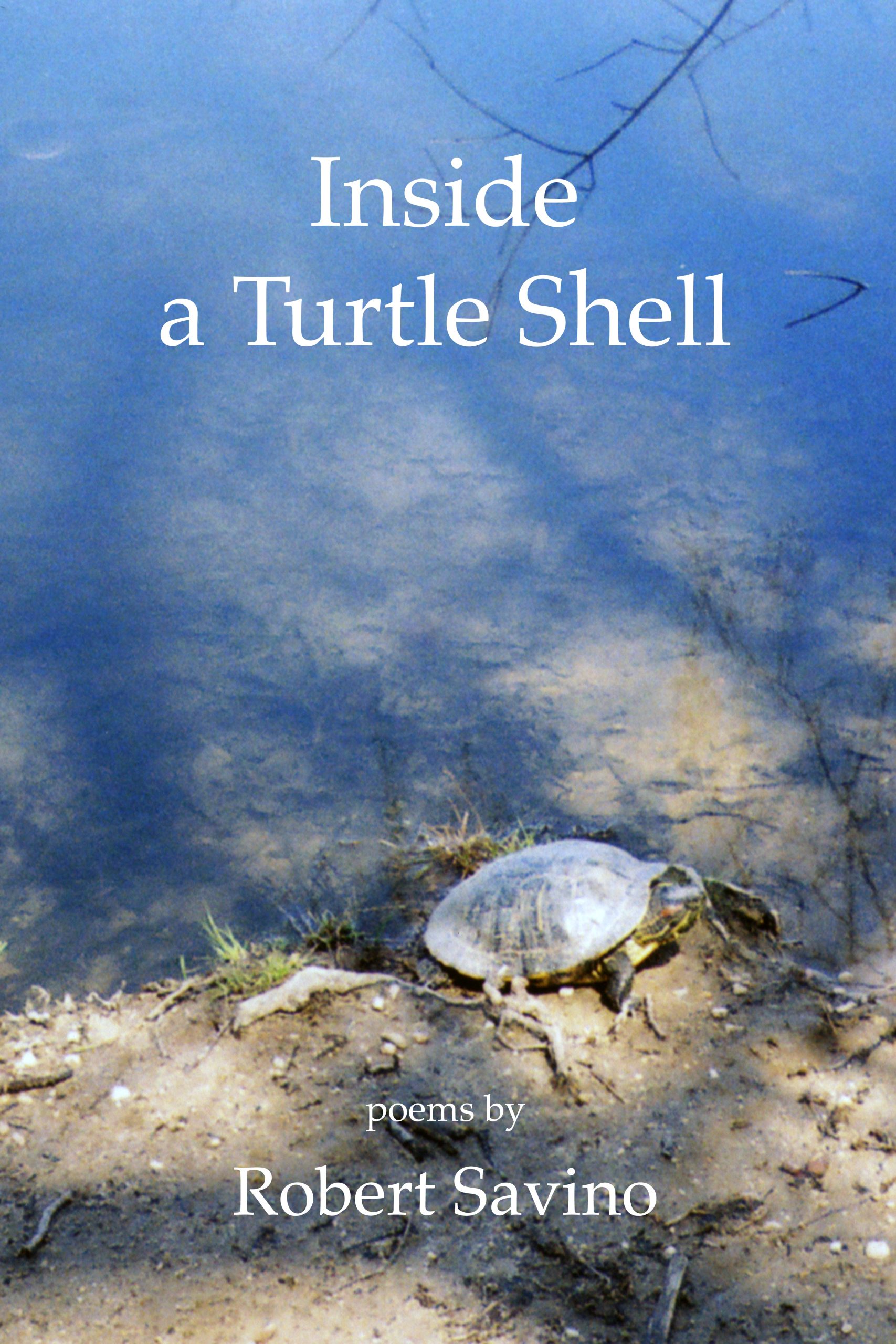 Inside a Turtle Shell