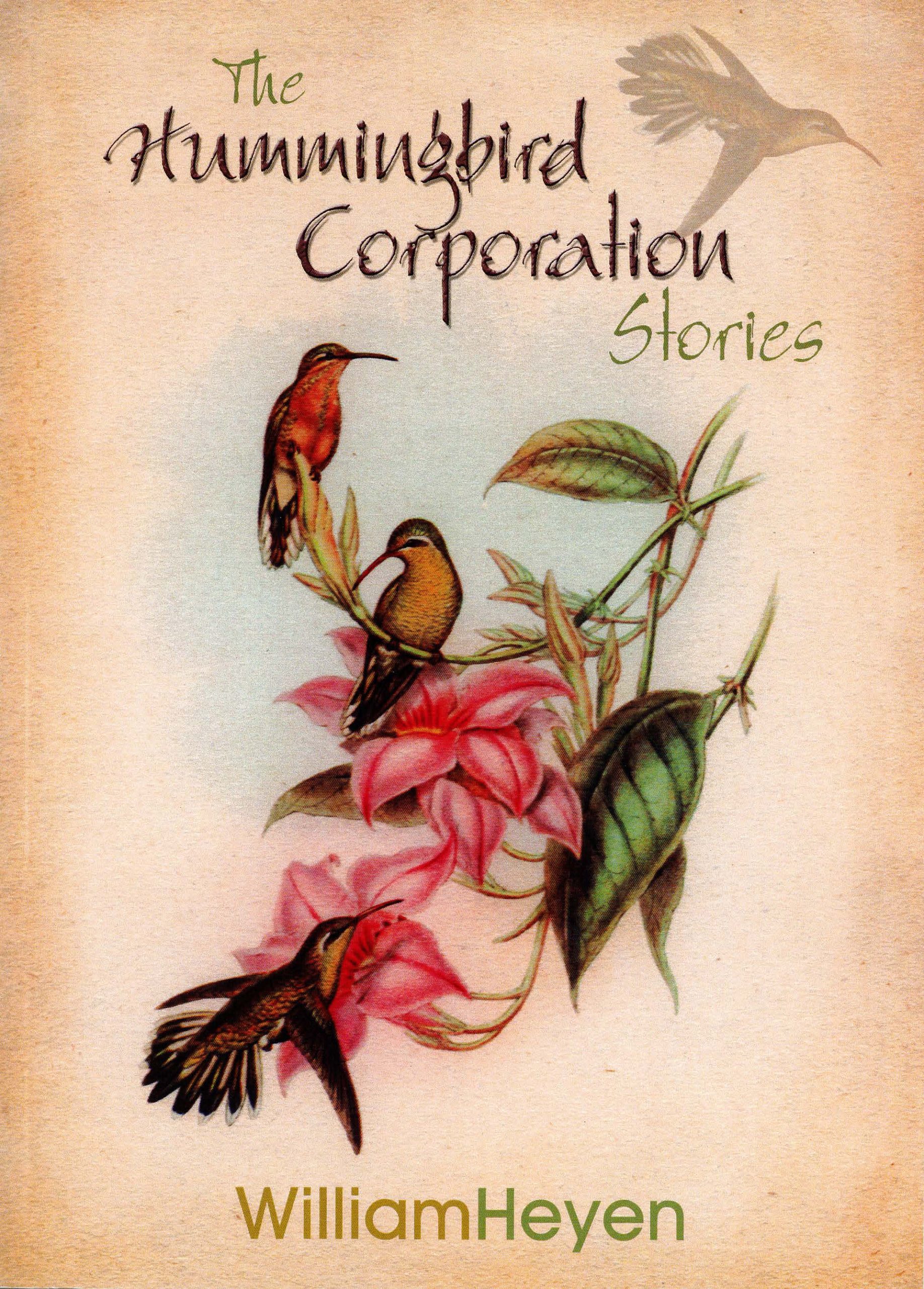 Hummingbird Corporation: Stories