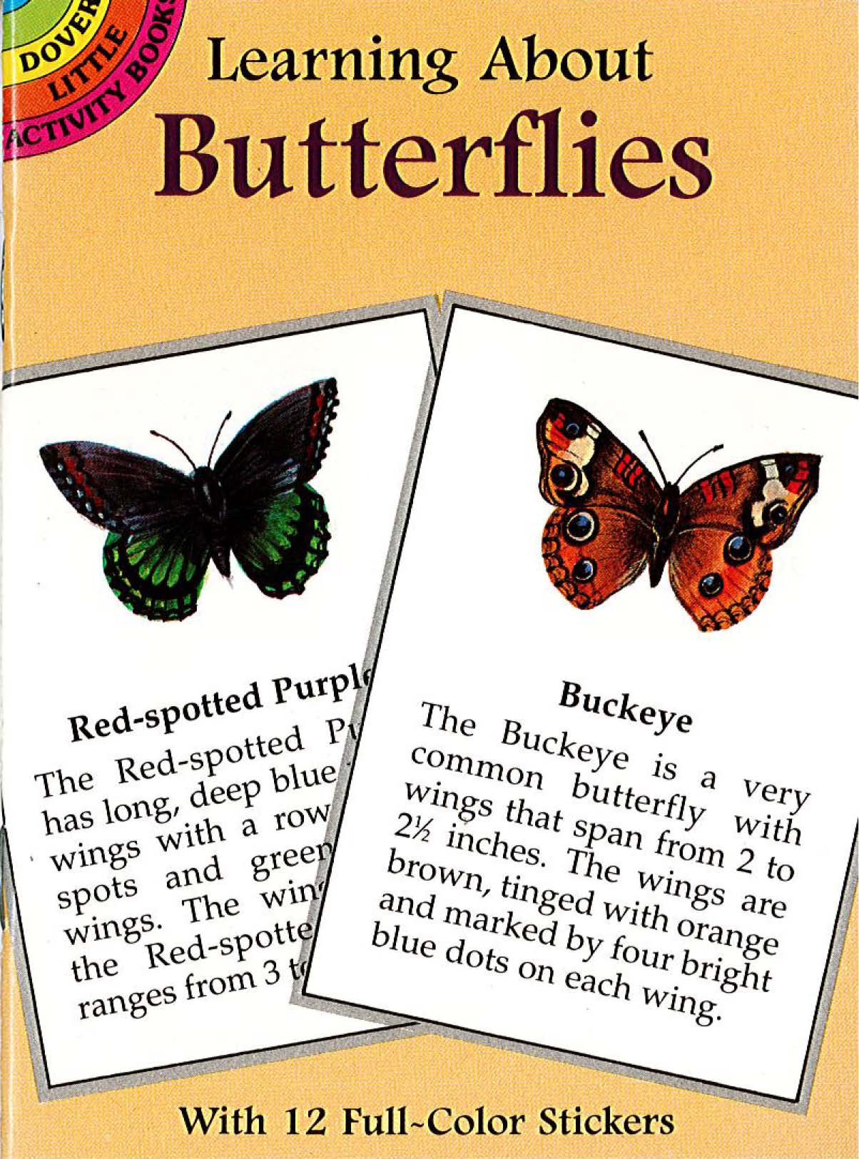 Learning About: Butterflies