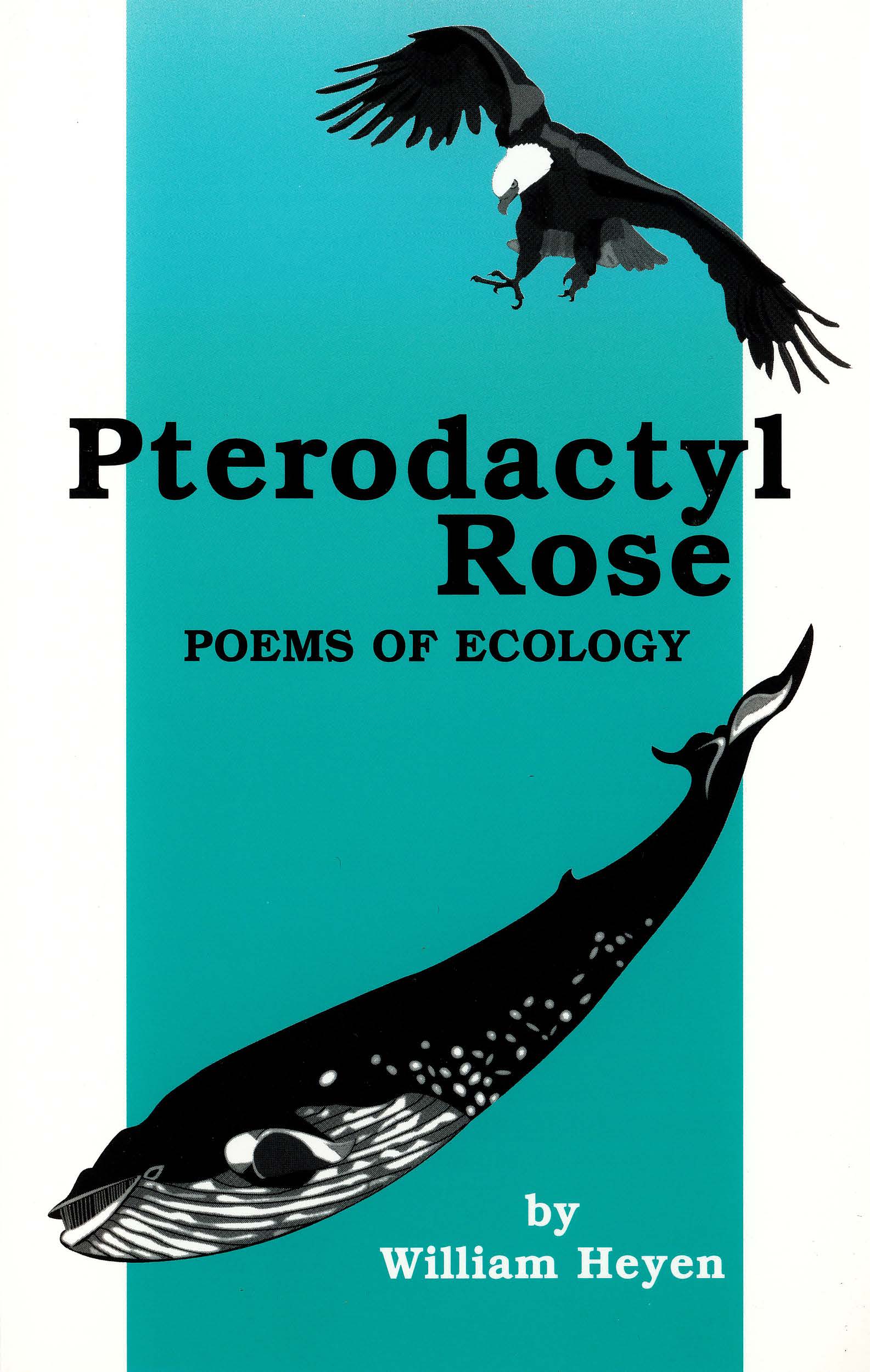 Pterodactyl Rose