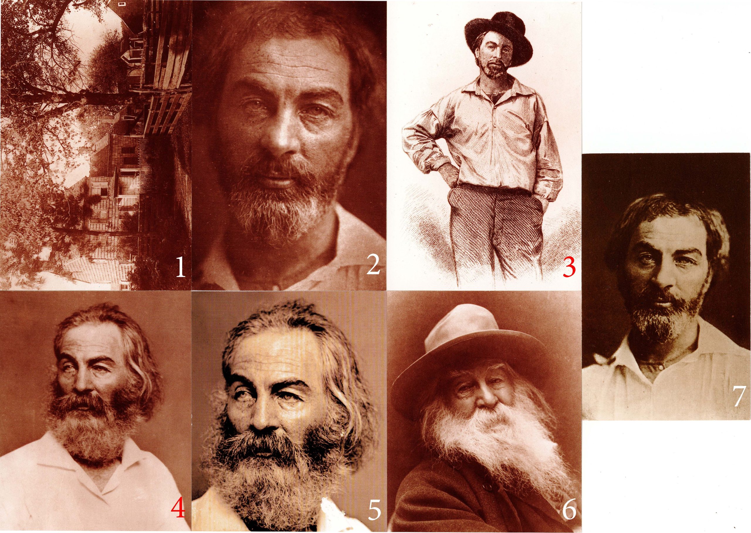 Postcard- Walt Whitman (Set of 6)